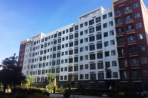 學校文化