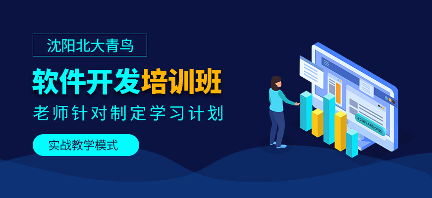 沈陽軟件開發(fā)培訓(xùn)