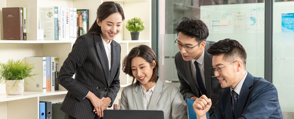 項目指導(dǎo)階段