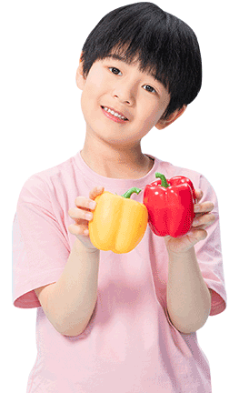 積木課程簡介