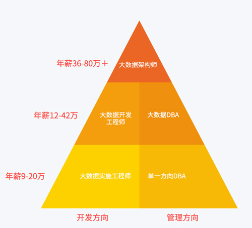 多種職業(yè)發(fā)展方向未來由你選擇