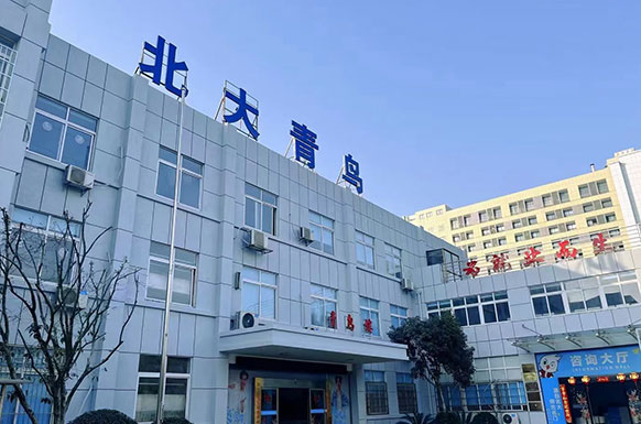 內(nèi)景