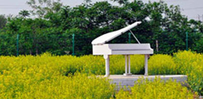 室外攝影基地