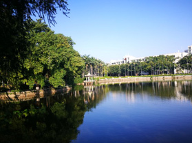學(xué)校湖邊