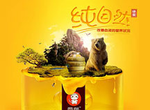 直通車(chē)設(shè)計(jì)