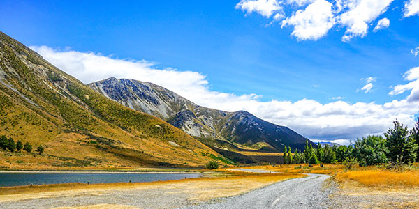 新西蘭公路風(fēng)景
