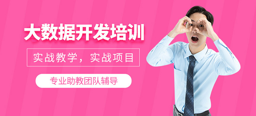 大數(shù)據(jù)開發(fā)培訓(xùn)