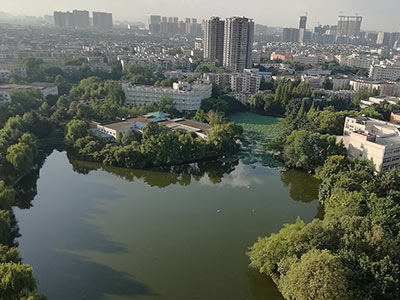 俯瞰圖