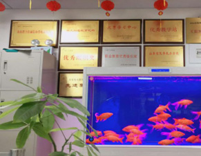 榮譽(yù)展示
