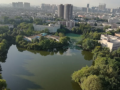 俯瞰圖