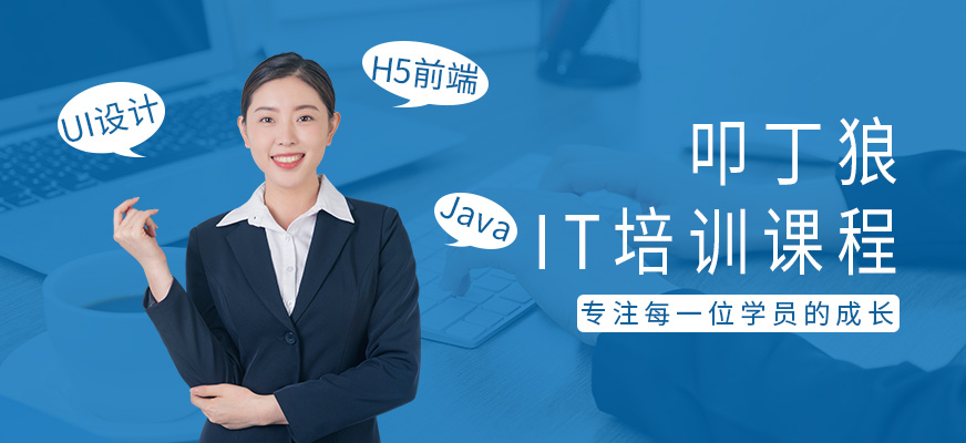叩丁狼簡(jiǎn)介